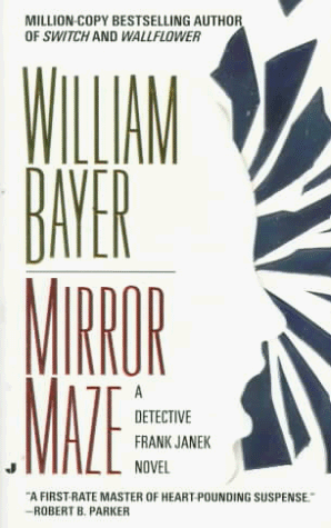 Mirror Maze by William Bayer