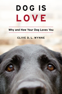 Dog Is Love: Why and How Your Dog Loves You by Clive D.L. Wynne