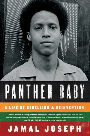 Panther Baby: A Life of Rebellion and Reinvention by Jamal Joseph