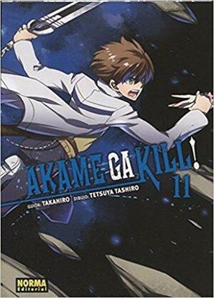 Akame ga KILL!, #11 by Takahiro
