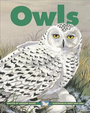 Owls by Adrienne Mason