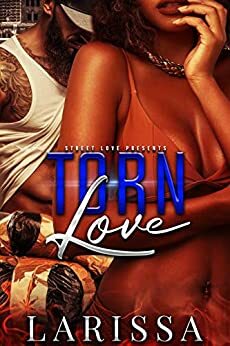 Torn Love 1-3 by Larissa