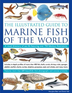 The Illustrated Guide to Marine Fish of The World: A Visual Directory of Sea Life Featuring Over 700 Fabulous Illustrations by Derek Hall, Amy-Jane Beer