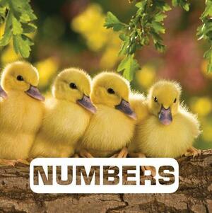 Numbers by Judith Nouvion