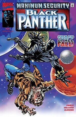 Black Panther #25 by Sal Velluto, Christopher J. Priest