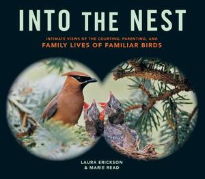 Into the Nest: Intimate Views of the Courting, Parenting, and Family Lives of Familiar Birds by Laura Erickson, Marie Read