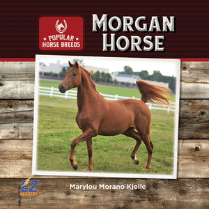 Morgan Horse by Marylou Morano Kjelle