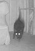 breadbees's profile picture