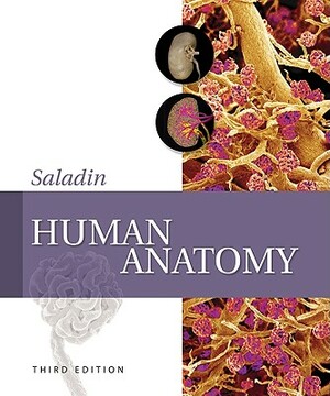 Human Anatomy [With Access Code] by Kenneth S. Saladin