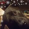 amme_pyre's profile picture