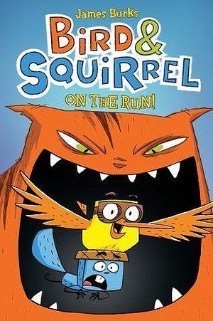 Bird & Squirrel On the Run!: A Graphic Novel by James Burks, James Burks