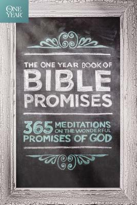 The One Year Book of Bible Promises: 365 Meditations on the Wonderful Promises of God by James Stuart Bell