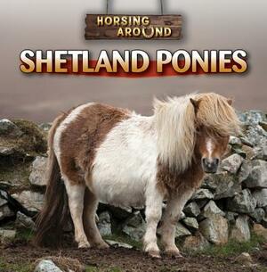 Shetland Ponies by Kristen Rajczak