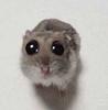 lukeditton's profile picture
