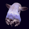 jurbler's profile picture