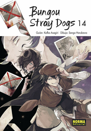 Bungou Stray Dogs 14 by Kafka Asagiri