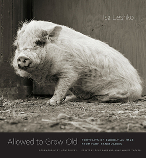Allowed to Grow Old: Portraits of Elderly Animals from Farm Sanctuaries by Anne Wilkes Tucker, Isa Leshko, Sy Montgomery, Gene Baur