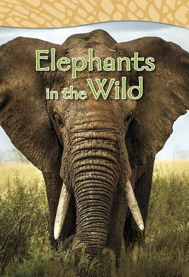 Elephants in the Wild by Claire Robinson