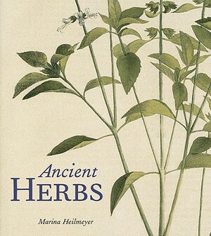 Ancient Herbs by Marina Heilmeyer