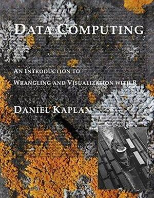 Data Computing by Daniel Kaplan