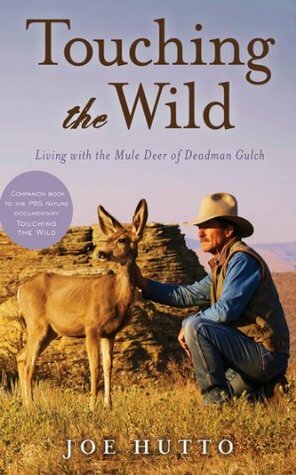 Touching the Wild: Living with the Mule Deer of Deadman Gulch by Joe Hutto