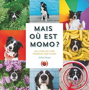 Mais où est Momo ? : un livre où l'on cherche son chien by Andrew Knapp