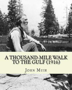 A Thousand-Mile Walk To The Gulf (1916). By: John Muir, EDITED By: William Frederic Bade: Illustrated by John Muir, William Frederic Bade