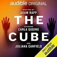 The Cube by Adam Rapp