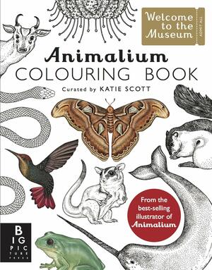 Animalium Colouring Book by Kate Baker