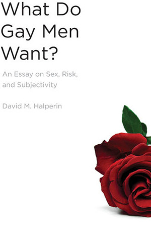 What Do Gay Men Want?: An Essay on Sex, Risk, and Subjectivity by David M. Halperin