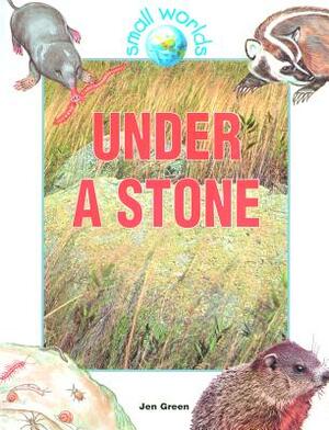 Under a Stone by Jen Green