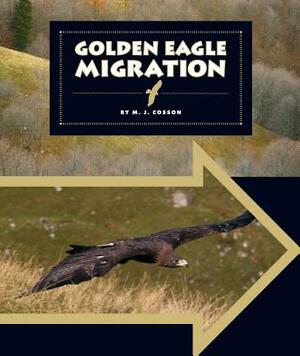 Golden Eagle Migration by M. J. Cosson