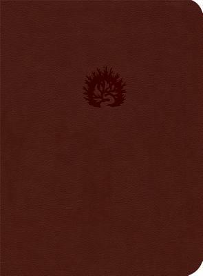 Reformation Study Bible-ESV by 