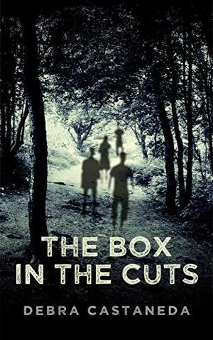 The Box in The Cuts by Debra Castaneda