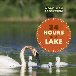 24 Hours in a Lake by Alicia Klepeis