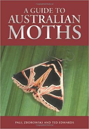 A Guide to Australian Moths by Paul Zborowski, Ted Edwards