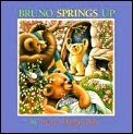 Bruno Springs Up by Sylvie Daigneault