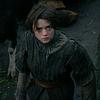 thekingofthenorth's profile picture
