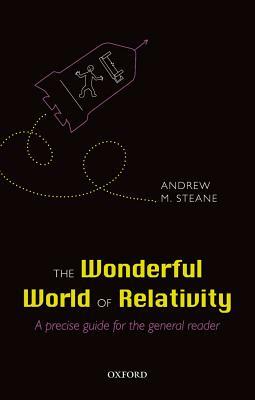 The Wonderful World of Relativity: A Precise Guide for the General Reader by Andrew Steane