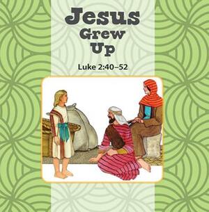 Jesus Grows Up/Jesus Calms the Storm Flip Book by Judy Williams