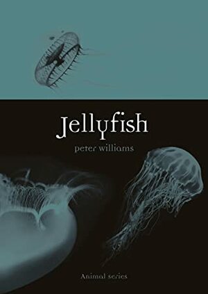 Jellyfish by Peter Williams