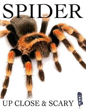 Spider by Kevin Ingram