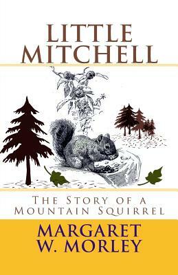 Little Mitchell: "The Story of a Mountain Squirrel" by Margaret W. Morley