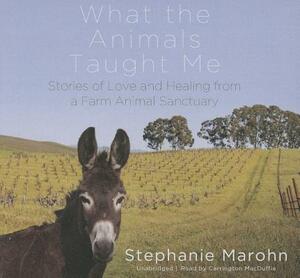 What the Animals Taught Me: Stories of Love and Healing from a Farm Animal Sanctuary by Stephanie Marohn