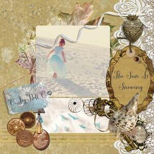 The Sun Is Snowing: The Scrapbook by C. Joybell C