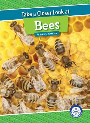 Take a Closer Look at Bees by JoAnn Early Macken