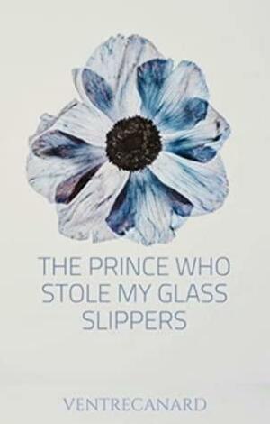 The Prince who stole my Glass Slippers by VentreCanard