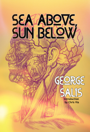 Sea Above, Sun Below by George Salis