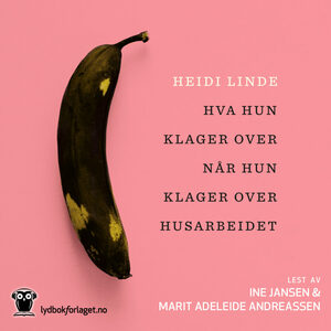 Hva hun klager over når hun klager over husarbeidet by Heidi Linde