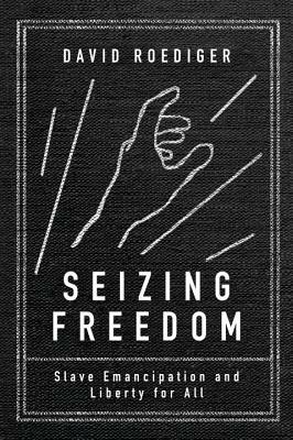 Seizing Freedom: Slave Emancipation and Liberty for All by David R. Roediger